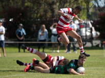 120561404 3488681401211574 3710324377123227918 o