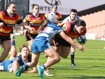 7c910de5861e399f1115d2a413d299d8 nzrbZN2bsuRB