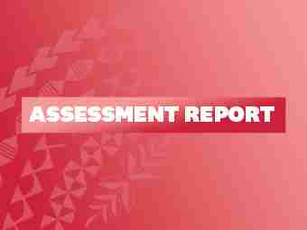 ASSESSMENT REPORT v2