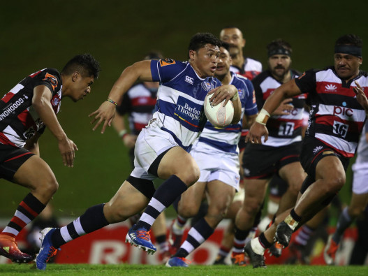 Rugby auckland clearance