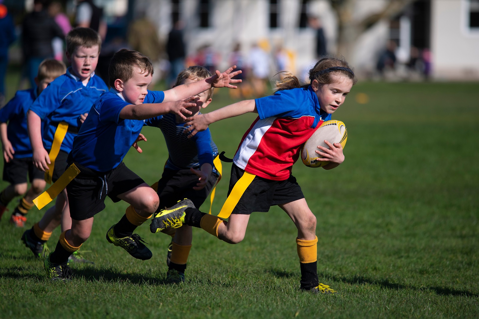 New Zealand Rugby