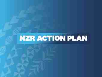 NZR ACTION PLAN